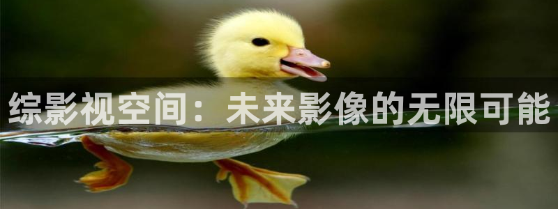 金牌影院官網網址：綜影視空間：未來影像的無限可能