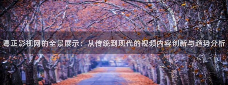 我是刑警金牌影院：粵正影視網(wǎng)的全景展示：從傳統(tǒng)到現(xiàn)代的視頻內(nèi)容創(chuàng)新與趨勢分析