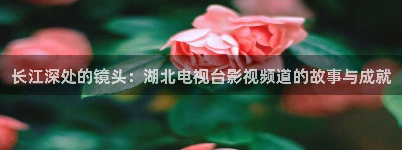 金牌班長電影：長江深處的鏡頭：湖北電視臺影視頻道的故事與成就