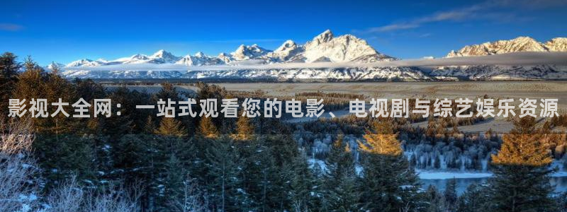 12金牌電影完整版：影視大全網：一站式觀看您的電影、電視劇與綜藝娛樂資源